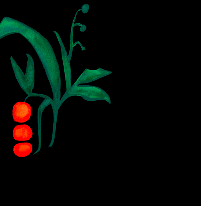 Maison Mère - Page Hey Honey